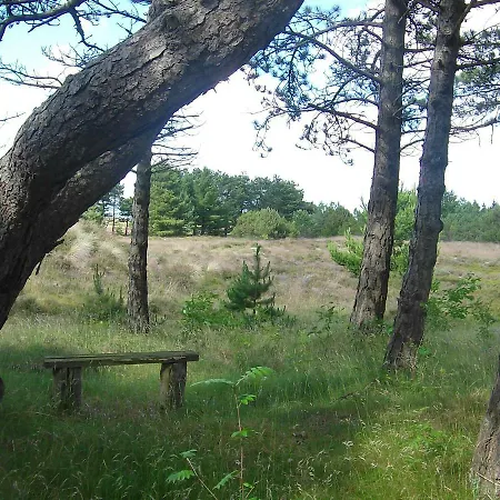 Ferienhaus Auf Romo Holiday home